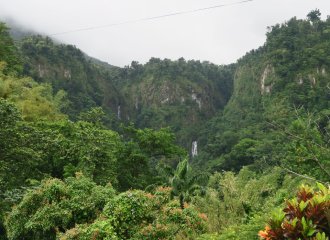 On our taxi tour of Dominica the driver told us we would see Trafalgar Falls - we did but from a great distance!