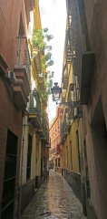 The Jewish quarter, Seville